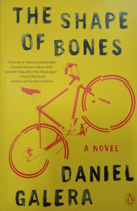 The Shape Of Bones By Daniel Galera